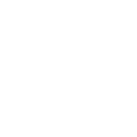 media-icon